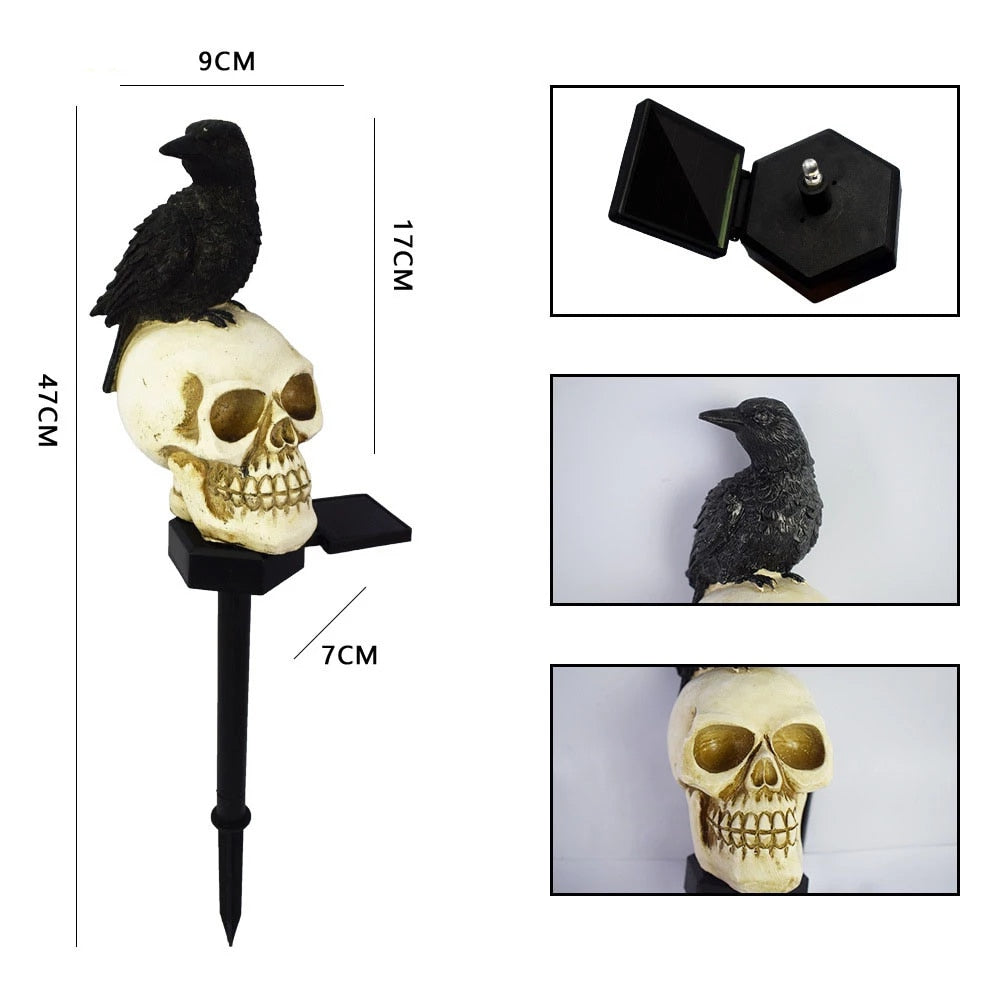 Solar Skull Light
