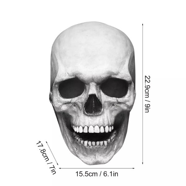 Movable Jaw Full Head Skull Mask
