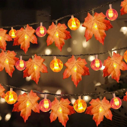 Pumpkin Light Decoration | Halloween & Thanksgiving Home Decor